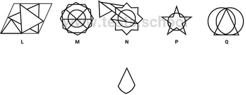 CAT4 Level D figure recognition sample question